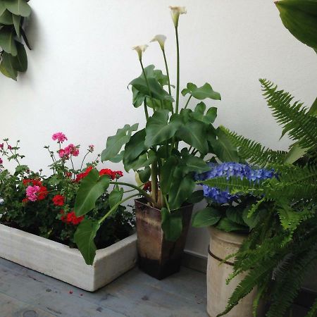 Patio San Lorenzo 科爾多瓦 外观 照片